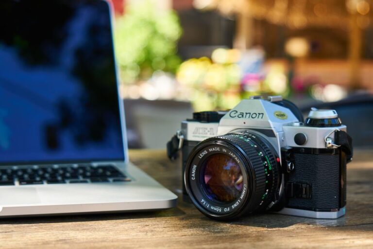 Finding the Perfect Shared Hosting for Small Shops