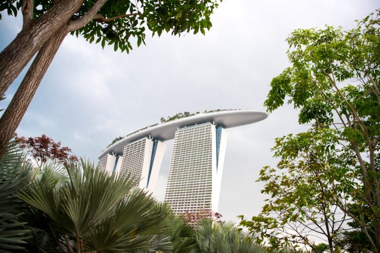 How to avoid overpaying for your .sg domain renewal in 2024 and beyond