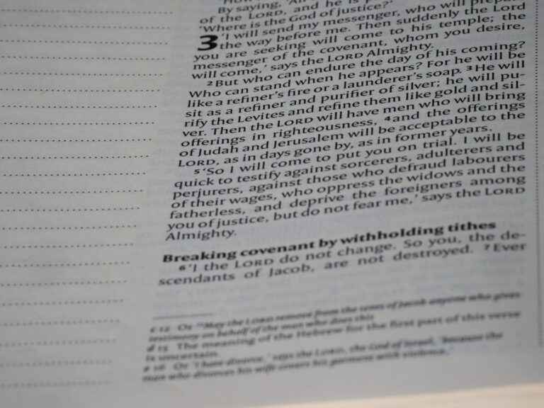Three hundred and fifty internal links that changed everything